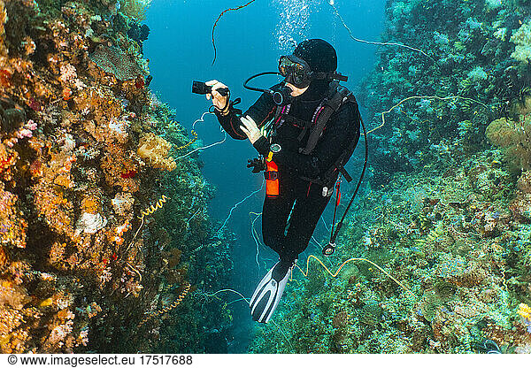 scuba diver exploring the tropical waters around Komodo
