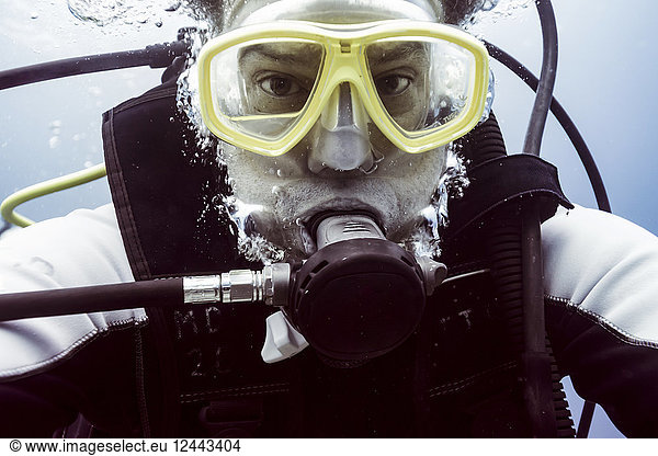 Scuba diver underwater looking at the camera  Belize