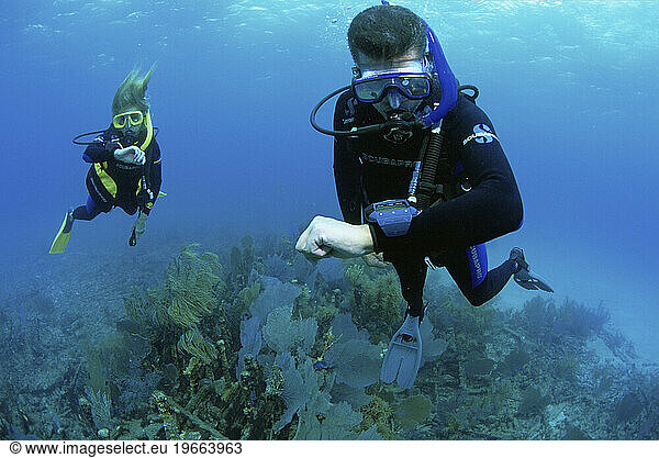 Scuba divers with dive computers  Key Largo  Florida  USA.