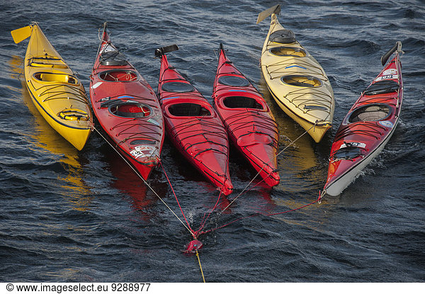 Sea kayaks moored on a long mooring rope  floating on the water surface.