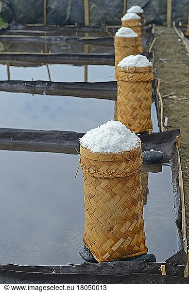 Sea salt harvested and packed for drying  the so-called fleur de sel  North Bali  Bali  Indonesia  Asia