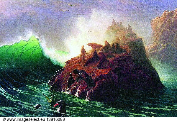 Seal Rock  Kalifornien 1860
