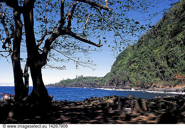 Seaside  Saint Philippe  Reunion island  Indian Ocean  Africa