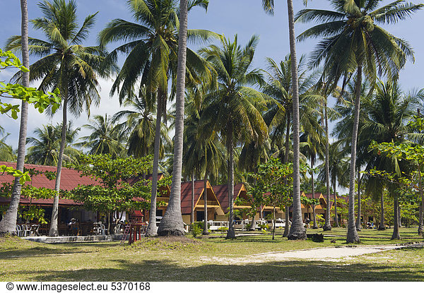 Season Bungalow Hotel unter Palmen  Golden Pearl Beach  Insel Ko Jum oder Ko Pu  Krabi  Thailand  Südostasien  Asien