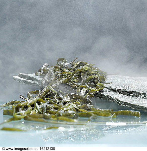 Seaweed  close-up