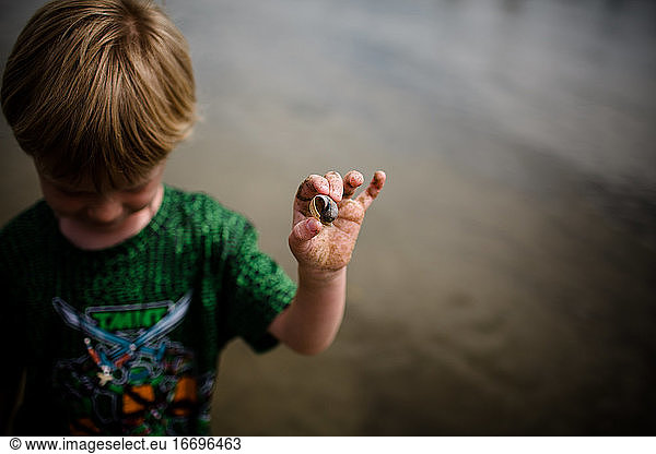 Sechsjähriges Kind hält Muschel