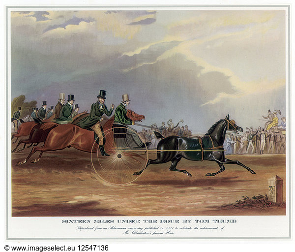 Sechzehn Meilen unter der Stunde von Tom Thumb  1831. Künstler: Unbekannt