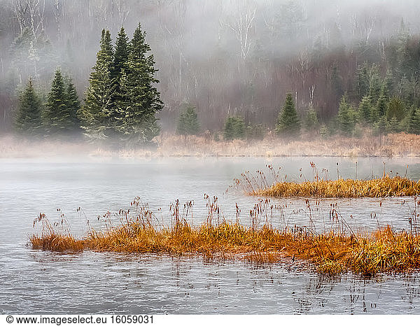 See und Vegetation mit Morgennebel; Quebec  Kanada