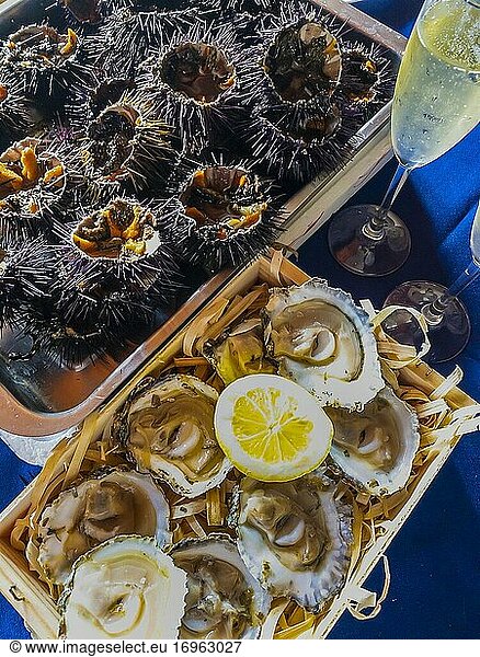 Seeigel  Austern und Champagner.