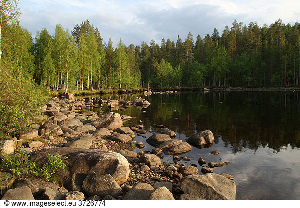 Seenlandschaft  Lappland  Finnland  Europa