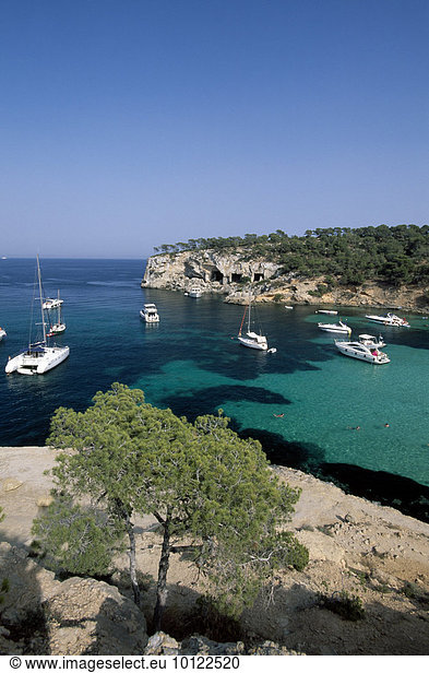 Segelboote in der Bucht bei Portals Vells  Mallorca  Balearen  Spanien  Europa