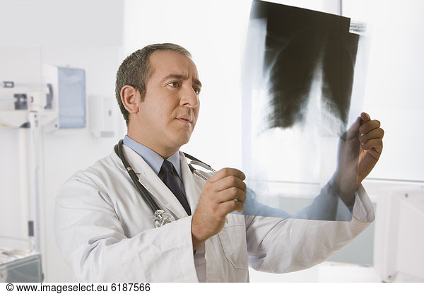 sehen  Arzt  Hispanier  Röntgenbild
