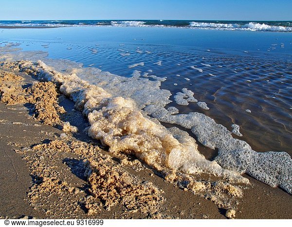 Seifenschaum Schaum Strand Meer Katalonien Eukalyptus Spanien Tarragona Provinz