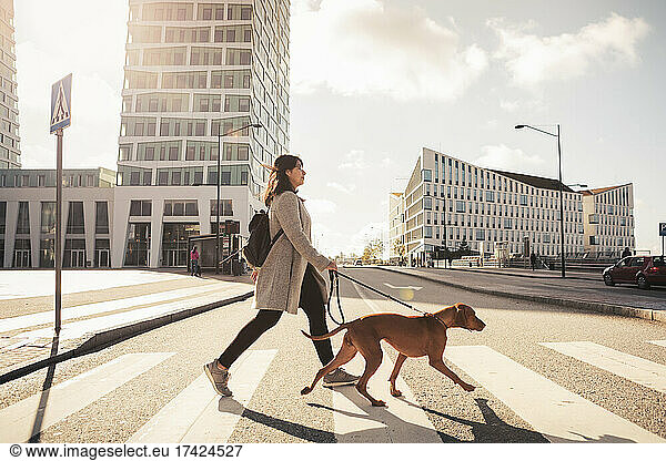 Seitenansicht einer Frau beim Überqueren der Straße mit einem Hund auf der Straße im Sonnenlicht