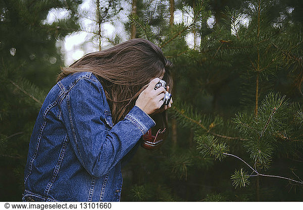 Seitenansicht einer Frau  die Kiefern im Wald fotografiert