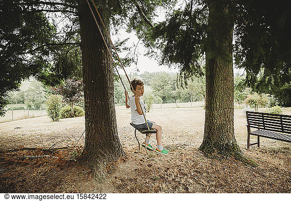 Seitenansicht eines Jungen auf einer Schaukel unter einem Baum gegen Bäume