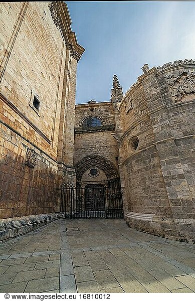 Seitentür der Kathedrale von La Asuncion in El Burgo de Osma. Soria. Spanien. Europa.