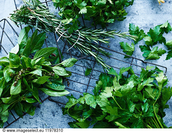 Selection of herbs in bunches  overhead view