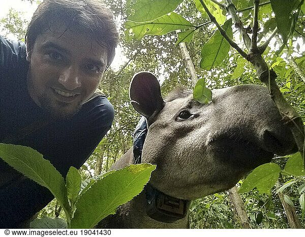 Selfie with Tapir in the rainforest  Guapiacu Ecological Reserve