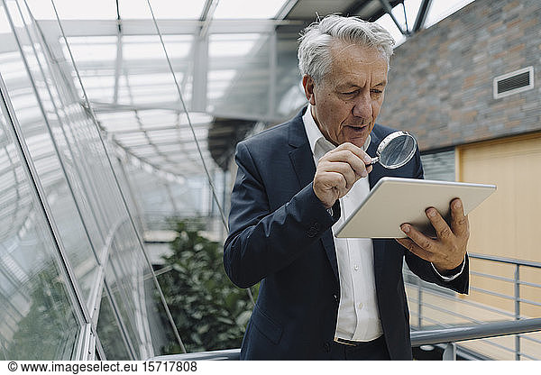 Senior businessman with magnifying glass reading tablet in office
