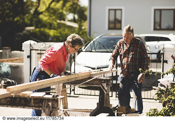 Senior couple measuring wooden plank at yard