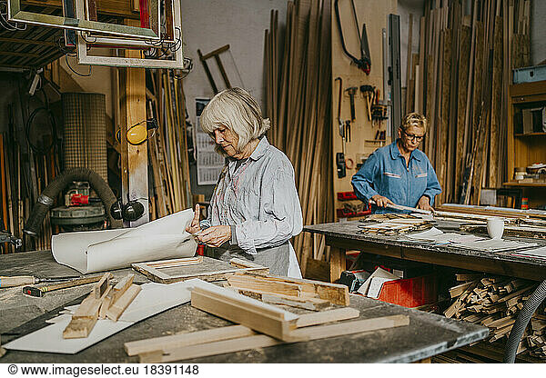 Senior craftswomen working together at repair shop