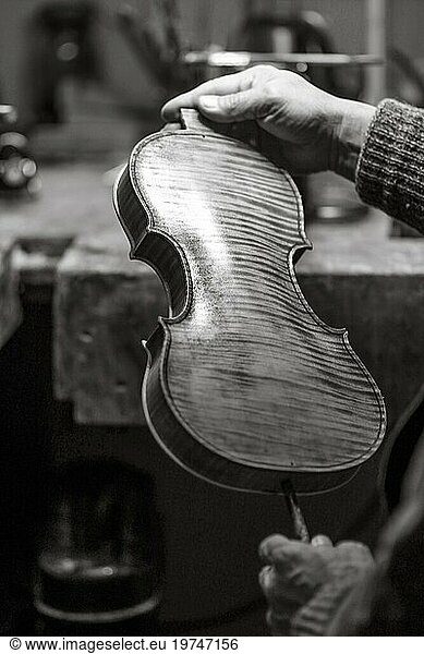 Senior expert violin maker luthier checking varnish classic handmade violin paint natural ingredient recipe in Cremona Italy home of best artisan of this kind  selective focus  bokeh  black and white