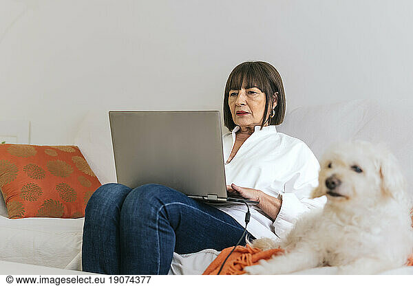 Senior freelancer sitting on sofa and using laptop by dog at home