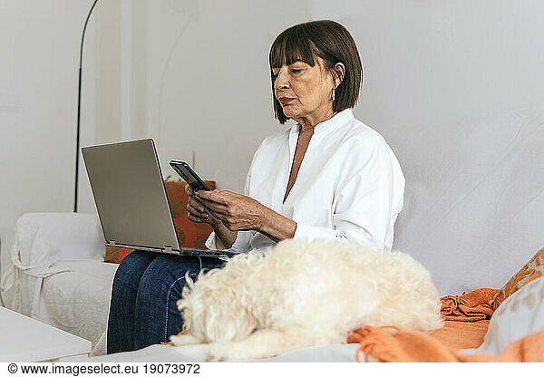 Senior freelancer using smart phone sitting with laptop by dog on sofa at home