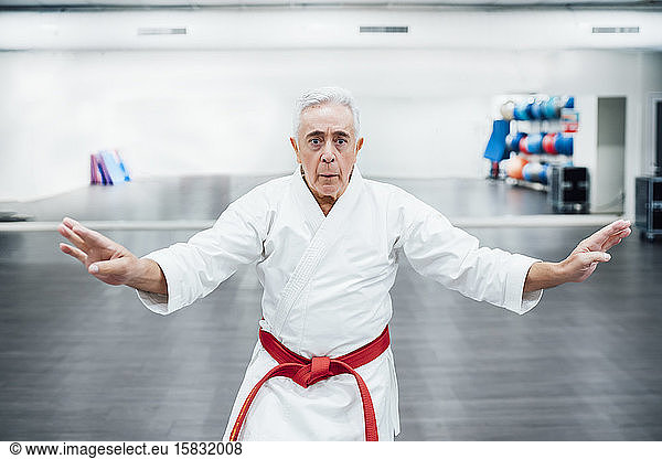 Senior Karate master performing combat techniques