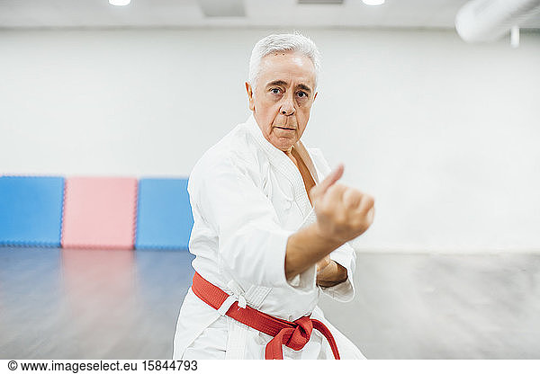 senior Karate master performing combat techniques