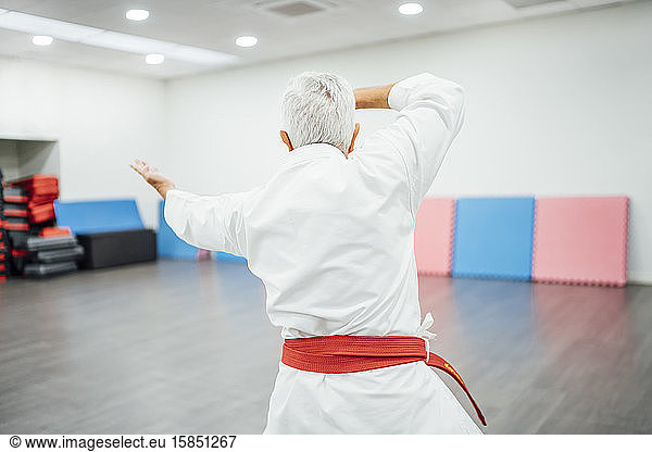 Senior Karate master performing combat techniques
