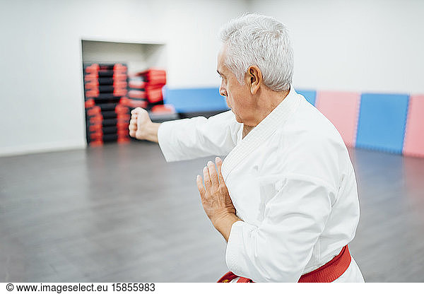 senior Karate master performing combat techniques