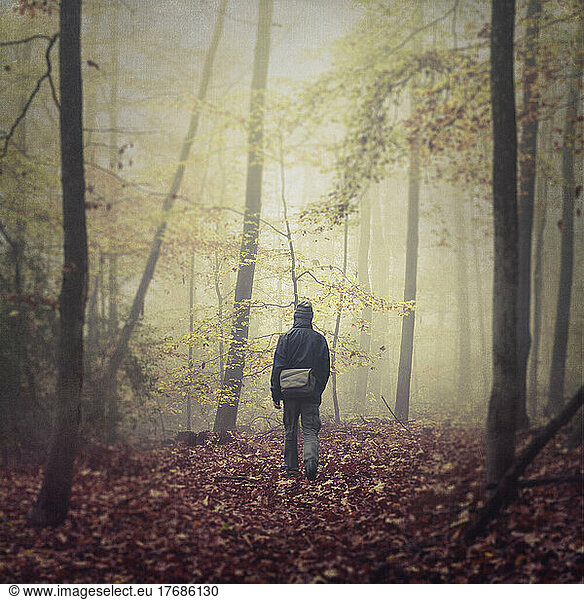 Senior man hiking alone in fog-shrouded autumn forest