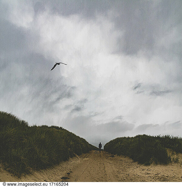 Senior man walking on pathway passing through dunes against cloudy sky at Barneville-Carteret