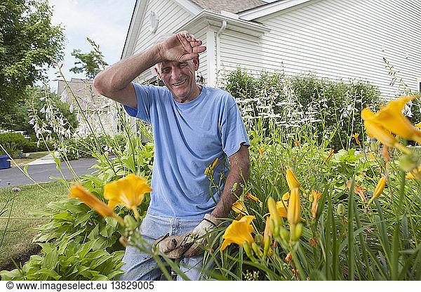 Senior man wiping his forehead after planting flowers in his garden