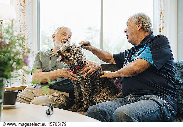 Senior men talking while stroking pet sitting on sofa at retirement home