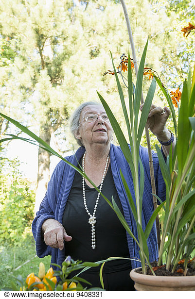 Senior Senioren sehen Pflanze Blumentopf