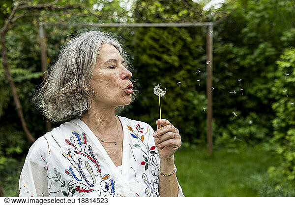 Senior woman blowing dandelion blowball in garden