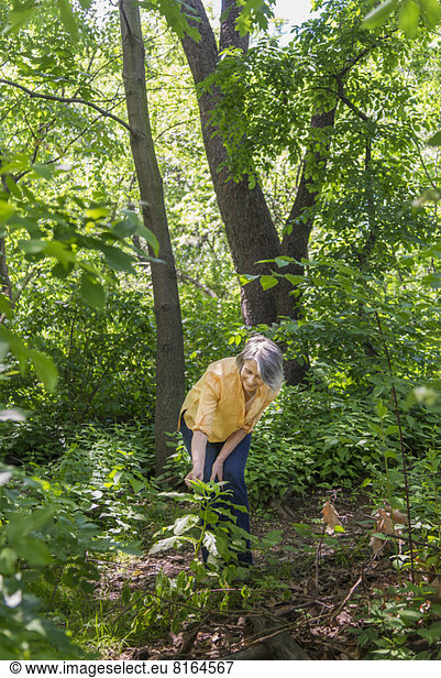 Senior woman hiking in forest