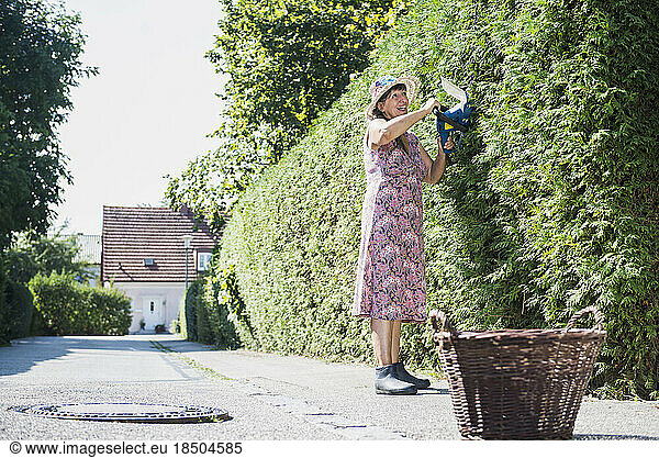 Senior woman is cutting hedge with a hedge trimmer in garden  Altötting  Bavaria  Germany