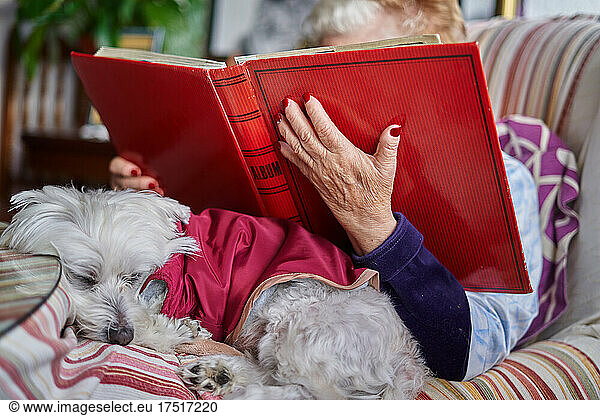 Senior Woman Looking at an Album of Photographs with Her Dog