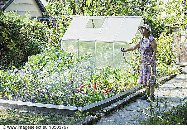 Senior woman watering plants in the garden  Altötting  Bavaria  Germany