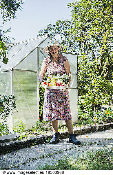 Senior woman with a basket of harvested vegetables in a garden  Altötting  Bavaria  Germany
