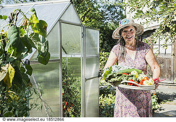 Senior woman with a basket of harvested vegetables in a garden  Altötting  Bavaria  Germany