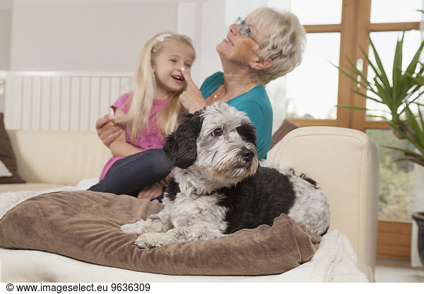 Senior woman with dog and granddaughter laughing in a living room