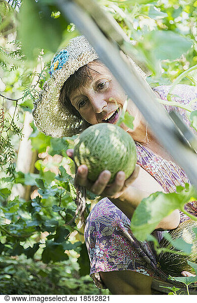 Senior woman with melon in garden  Altötting  Bavaria  Germany