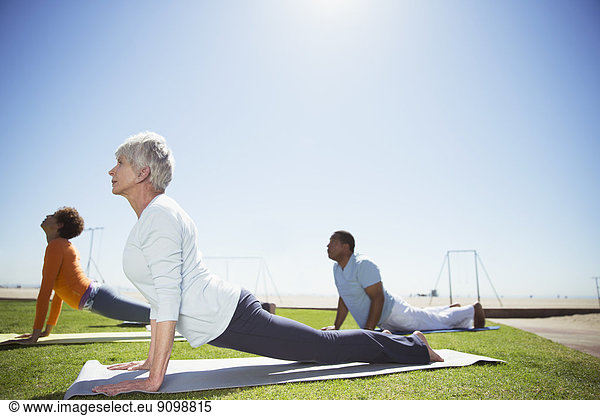 Seniors practicing yoga in sunny beach park