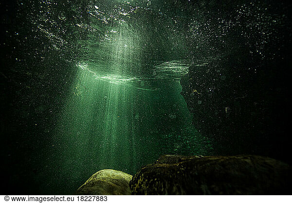 SENSES Light rays pierce the green water of the Snoqualmie River