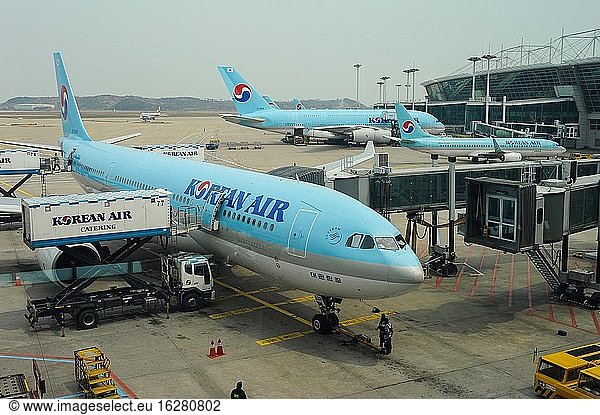 Seoul  Südkorea  Asien - Die Passagierflugzeuge der Korean Air stehen an ihren Gates auf dem Rollfeld des internationalen Flughafens Incheon.
